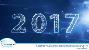 Bonne Année 2017